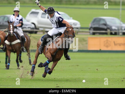 Cristian Laprida de Twelve Oaks joue dans le 2013 Veuve Clicquot Polo Gold Cup Banque D'Images