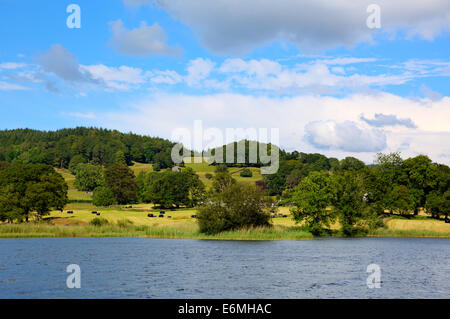 Esthwaite Water Lake District Cumbria près de Hawkshead village et entre Windermere et Coniston Water Banque D'Images