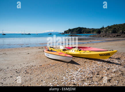 Kayaks de mer sur une plage de l'île de Waiheke Huraki Golfe Auckland New Zealand Banque D'Images