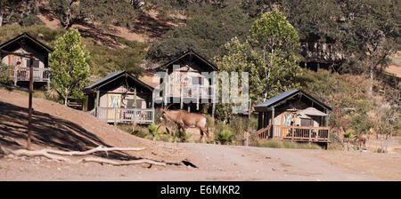 Santa Rosa, CA, USA. 13e Août, 2014. Au cours de la nuit donne à l'habitation guest un environnement camping car elle donne sur la vie sauvage. Safari West's a un 400-acre préserver. Sur un lecteur, vous pourrez entrer en contact avec des girafes, gazelles, zèbres, oryx, antilopes, buffle, gnous et beaucoup d'autres 700 animaux exotiques dans une savane africaine. Safari West est situé à Santa Rosa CA. © Marty Bicek/ZUMA/Alamy Fil Live News Banque D'Images