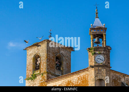 Nids de cigognes blanches sur le toit de l'église de Santa María la Mayor, Trujillo, Espagne Banque D'Images