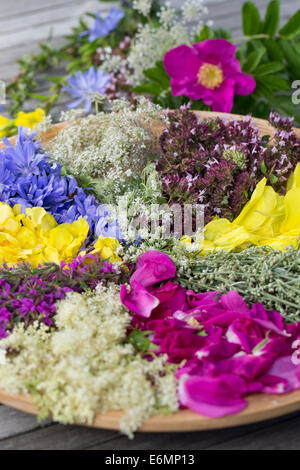 Blütenteller, Blüten, Blumen, Kräuter Kräuter, Kräuterernte Blütenblätter, Debussy, auf einem Teller sortiert zum Trocknen, essb Banque D'Images