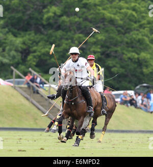 Pablo MacDonough joue pour l'équipe de water-polo des EAU dans l 2013 Veuve Clicquot Polo Gold Cup, à Trippets Terre Polo Banque D'Images