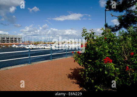 Yachts amarrés sur la rivière Ely, la baie de Cardiff, Pays de Galles, Royaume-Uni. Banque D'Images