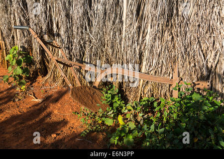 Ancienne grange de séchage du tabac à côté de charrue, Vinales, Cuba Banque D'Images