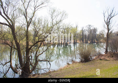 Allemagne Danube river nature Backwater Bavarois Banque D'Images