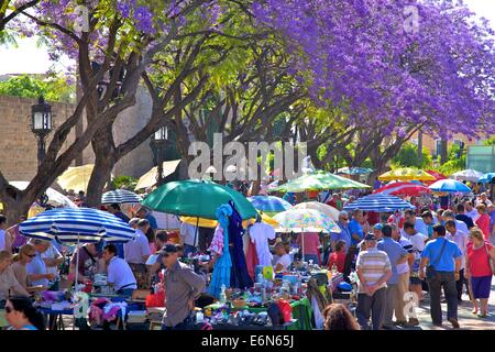 Alameda Vieja, marché, Jerez de la Frontera, province de Cadiz, Andalousie, Espagne, Europe du Sud Ouest Banque D'Images