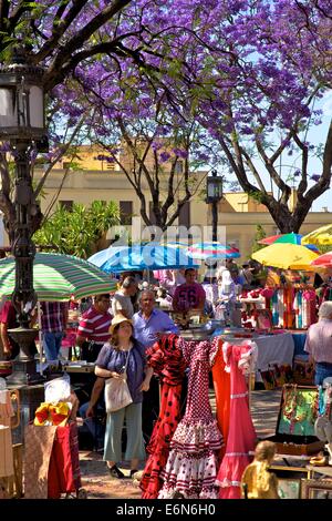 Alameda Vieja, marché, Jerez de la Frontera, province de Cadiz, Andalousie, Espagne, Europe du Sud Ouest Banque D'Images