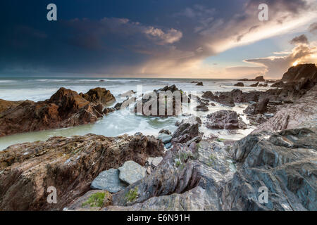 Côte Rocheuse à Ayrmer Cove dans le sud du Devon, South Hams, Angleterre, Royaume-Uni, Europe. Banque D'Images