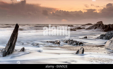 Côte Rocheuse à Ayrmer Cove dans le sud du Devon, South Hams, Angleterre, Royaume-Uni, Europe. Banque D'Images