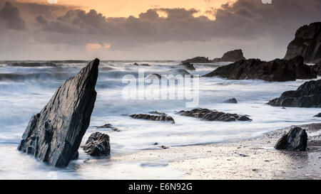 Côte Rocheuse à Ayrmer Cove dans le sud du Devon, South Hams, Angleterre, Royaume-Uni, Europe. Banque D'Images