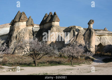 Rock formations dans la vallée des moines (Pasabagi) près de Causvin en Cappadoce, Anatolie centrale, Turquie. Banque D'Images