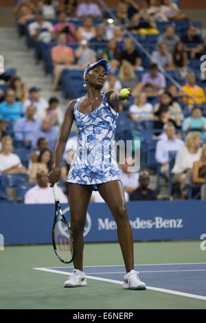 Flushing Meadows, New York, USA. 27 août, 2014. Venus Williams (USA) dans l'action du deuxième cycle à l'US Open Tennis Championships. Crédit : Paul J. Sutton/PCN/ Alamy Live News Banque D'Images