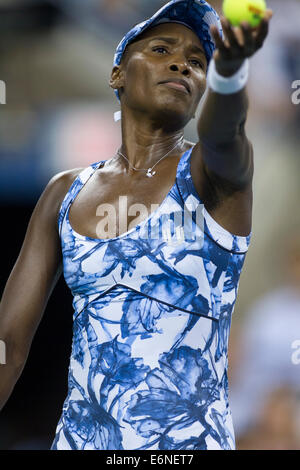 Flushing Meadows, New York, USA. 27 août, 2014. Venus Williams (USA) dans l'action du deuxième cycle à l'US Open Tennis Championships. Crédit : Paul J. Sutton/PCN/ Alamy Live News Banque D'Images