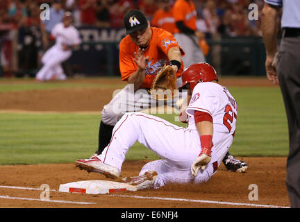 Anaheim, CA, c.-à-d. USA. 27 août, 2014. 27 août 2014 : Miami Marlins et Los Angeles Angels of Anaheim, Angel Stadium d'Anaheim, CA. Mike Trout # 27 a la chance de revenir à la première base après plus de l'arrondissement comme première base Jeff Baker # 10 et tente d'attraper la truite. tag Crédit : Peter Renner and Co/ZUMA/ZUMAPRESS.com/Alamy fil Live News Banque D'Images