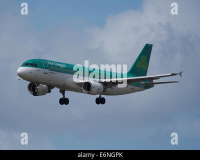 EI-CVC Airbus A320-214 - Aer Lingus, 12Aug2014, à l'atterrissage à Schiphol (AMS - EHAM), aux Pays-Bas, pic1 Banque D'Images