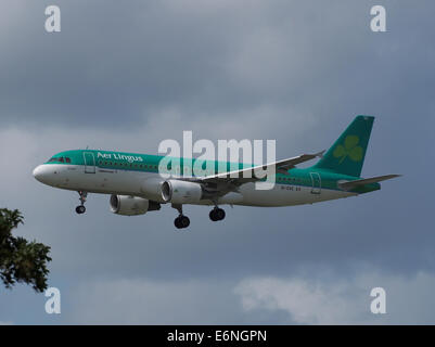 EI-CVC Airbus A320-214 - Aer Lingus, 12Aug2014, à l'atterrissage à Schiphol (AMS - EHAM), aux Pays-Bas, pic2 Banque D'Images