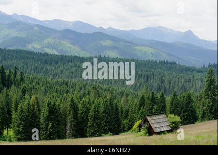 Village de Hautes Tatra , Pologne, Europe Banque D'Images