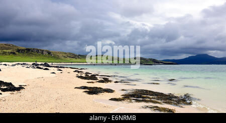 Des algues sur le 'Coral Beach' dans le nord-ouest de Skye, en Ecosse Banque D'Images