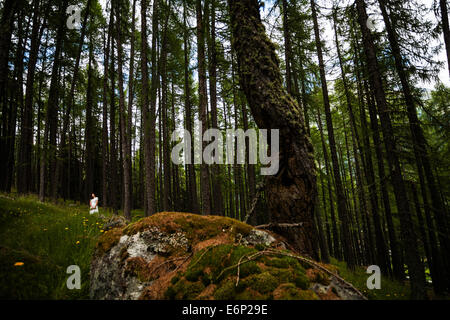 Femme en robe blanche marche dans une forêt avec de grands arbres Banque D'Images