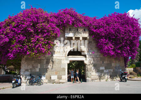 Gate à Hippocrate arbre plan carré, Kos Town, Kos island, îles du Dodécanèse, Grèce, Europe Banque D'Images