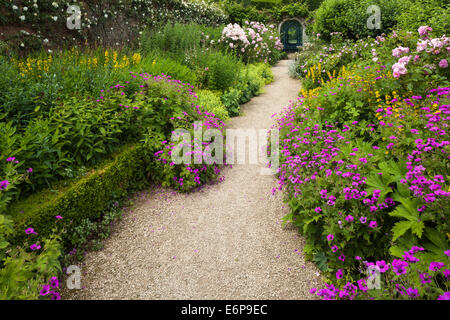 Frontières herbacées colorées au début de l'été, une ligne de chemin de gravier dans le jardin clos de Rousham House, Oxfordshire, Angleterre Banque D'Images