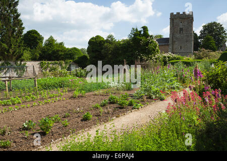 Les fleurs sont cultivées dans le grand potager clos de Rousham House pour attirer les insectes pollinisateurs, Oxfordshire, Angleterre Banque D'Images