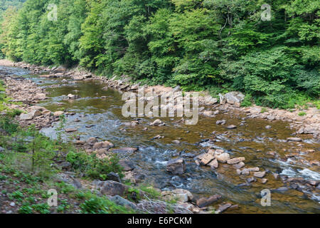 Rasoirs électriques fourche de la rivière de triche, l'épinette Knob-Seneca Rocks National Recreation Area, Beverly, West Virginia Banque D'Images