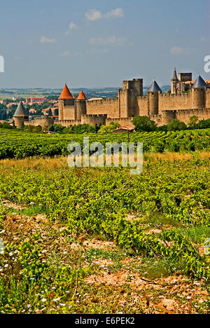 La vieille ville fortifiée de Carcassonne dans l'Aude est une région du sud-ouest de la France, les destinations touristiques. Banque D'Images