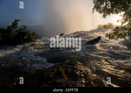 Coucher du soleil dans le Victoria Falls. Victoria Falls est le résultat de molasse qui se remplit d'énormes failles dans le basalte dur de t Banque D'Images