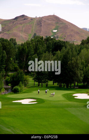 Sun Valley Golf Course, quatre joueurs sur le vert. Banque D'Images