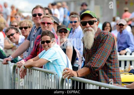 Seasick Steve à Chris Evans' CarFest Sud en aide aux enfants dans le besoin Banque D'Images