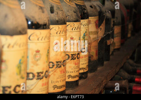 Des bouteilles de vin rouge dans une cave à vin historique, région du Chianti, Toscane, Italie Banque D'Images