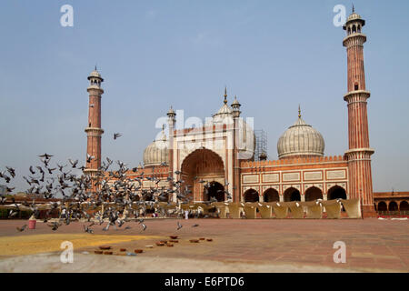 Jama Masjid, nom complet Masjid-i-Numā Jahān, le principe mosque de vieux Delhi, célèbre attraction touristique et, tôt le matin, Delhi, Inde Banque D'Images