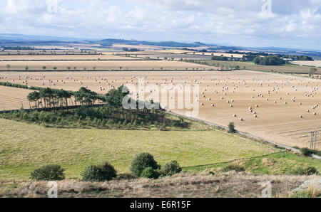 Voir des terres agricoles en août de North Berwick Law, East Lothian, Ecosse, Europe Banque D'Images