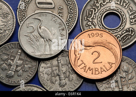 Des crédits du Malawi. Héron pourpré (Ardea purpurea) et le paradis des oiseaux de whydah (Vidua obtusa) représenté dans cents pièces. du Malawi Banque D'Images