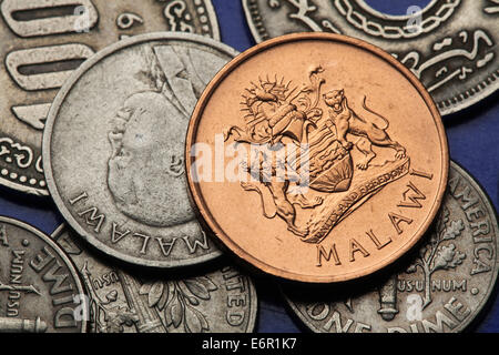 Des crédits du Malawi. Armoiries de Malawiens et héros national du Malawi John Chilembwe Malawi illustre cents pièces. Banque D'Images