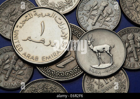 Coins des Émirats arabes unis. Sand (Gazella subgutturosa marica) décrite dans la pièce de monnaie dirham. Banque D'Images