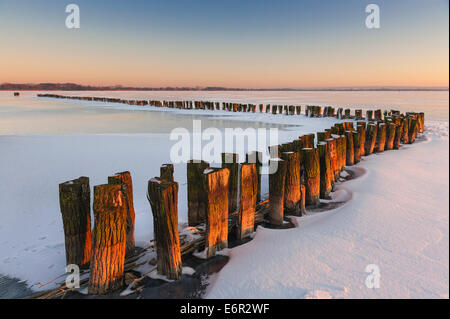 Soirée d'hiver sur le lac de Dümmer, dümmerlohhausen, district diepholz, Niedersachsen, Allemagne Banque D'Images