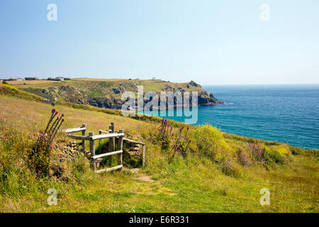 Digitale Housel Bay et des fleurs d'un champ sur le sentier de la côte sud-ouest de l'Angleterre Cornwall UK Banque D'Images