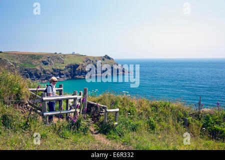 Digitale Housel Bay et des fleurs d'un stile dans un champ sur le sentier de la côte sud-ouest de l'Angleterre Cornwall UK Banque D'Images