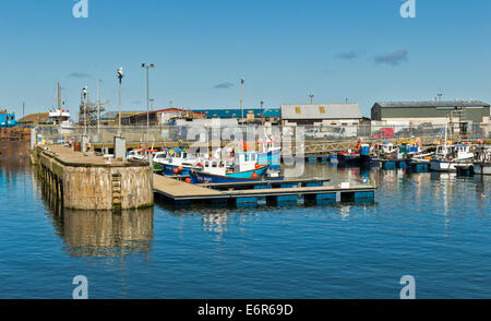 Port de PETERHEAD ABERDEENSHIRE LE PETIT BATEAU DE PLAISANCE Banque D'Images