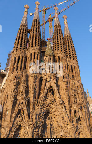 Barcelone, Espagne - 27 août 2014 : La Sagrada Familia, la cathédrale conçu par Antoni Gaudi Banque D'Images