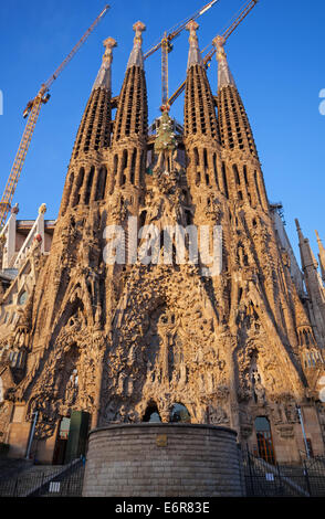 Barcelone, Espagne - 27 août 2014 : La Sagrada Familia, la cathédrale conçu par Antoni Gaudi Banque D'Images