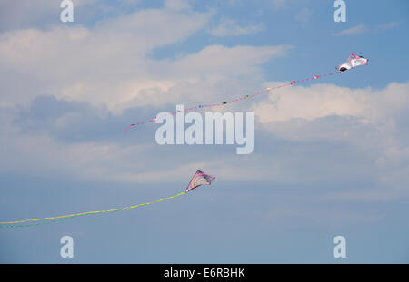 Rehoboth beach, DE - 3 mai 2014 : Deux cerfs-volants s'envoler dans le ciel de Rehoboth Beach. Banque D'Images