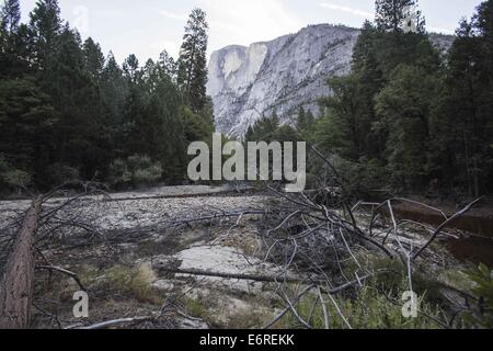 Los Angeles, Californie, USA. 25 août, 2014. Yosemite Yosemite Falls Creek en dessous est à sec dans la vallée Yosemite le 25 août 2014 dans le Parc National de Yosemite, en Californie. © Ringo Chiu/ZUMA/Alamy Fil Live News Banque D'Images