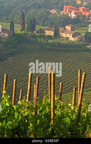 Chianti, Monti dans le Chianti, Toscane,paysage, Province de Sienne, Toscane, Italie, Banque D'Images