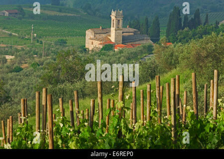 Chianti, Monti dans le Chianti, Toscane,paysage, Province de Sienne, Toscane, Italie, Banque D'Images