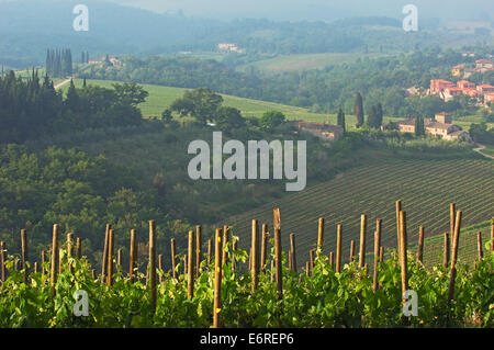 Chianti, Monti dans le Chianti, Toscane,paysage, Province de Sienne, Toscane, Italie, Banque D'Images