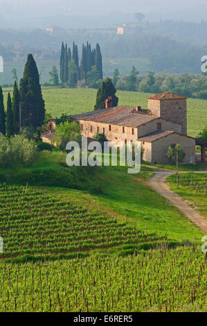 Chianti, Monti dans le Chianti, Toscane,paysage, Province de Sienne, Toscane, Italie, Banque D'Images